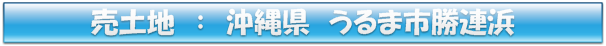 売土地:うるま市勝連浜