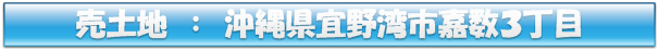 売土地:宜野湾市嘉数3丁目