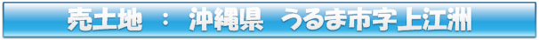 売土地:うるま市字上江洲